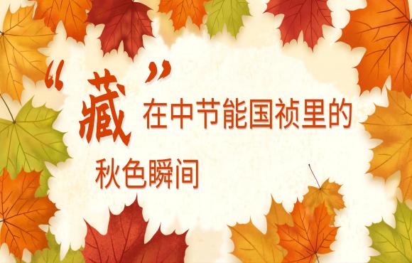四时国祯丨“藏”在orange橘子平台里的秋色瞬间