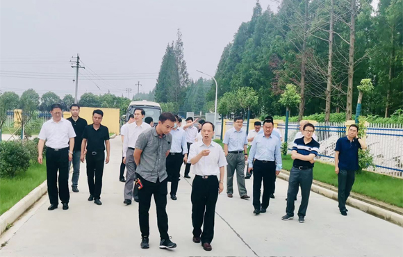 orange橘子平台·(中国区)官方网站